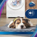 Cushions CARE CAF 1001 - Почистване Прахосмукачки И Гладене<<<Дом Градина<<<BigBuy&&&Сушилни ютии и