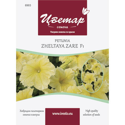 HYBRID PELLETTED SEEDS PETUNIA YELLOW LARGE FLOWER