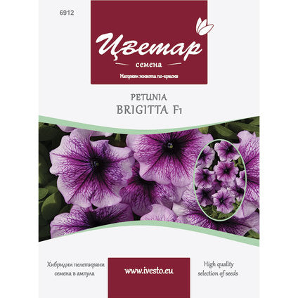 HYBRID PELLETTED SEEDS PETUNIA BRIGITA MULTICOLOR FLORIST
