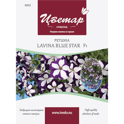 HYBRID PELLETTED SEEDS PETUNIA CASCADE BLUE STAR FLORIST
