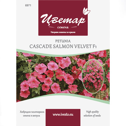 HYBRID PELLETTED SEEDS PETUNIA SUPER CASCADE SALMON FLOWER