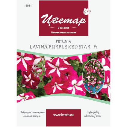 HYBRID PELLETTED SEEDS PETUNIA ALVINA PURPLE STAR FLORIST