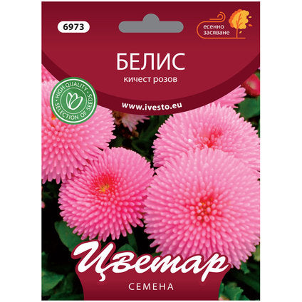 BELIS KICHEST PINK FLOWER SEEDS