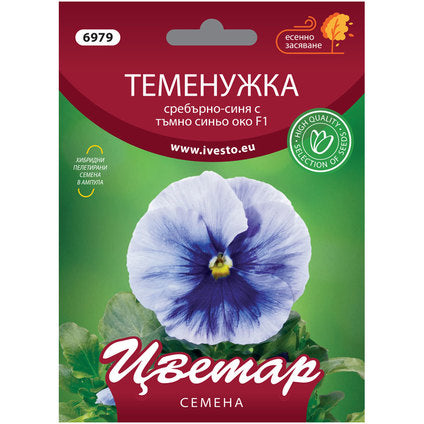 HYBRID SEEDS SILVER-BLUE VIOLET FLOWER