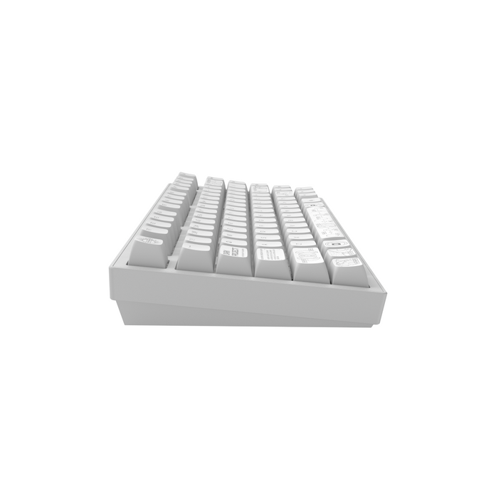Gaming wireless keyboard Dark Project ALU81A Terra Nova White RGB