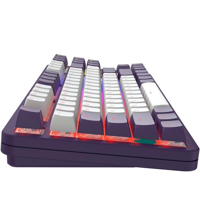 Gaming mechanical keyboard Dark Project ALU87A Violet RGB - TKL