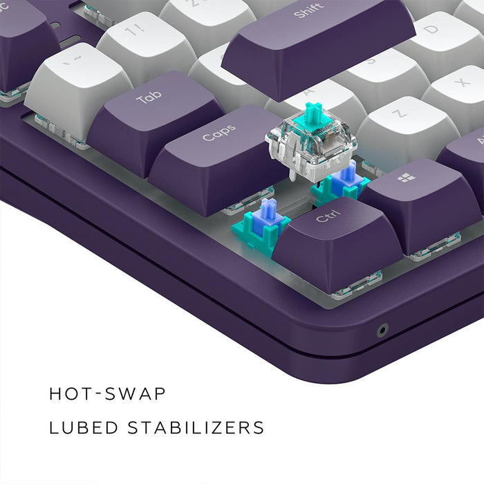 Gaming mechanical keyboard Dark Project ALU87A Violet RGB - TKL