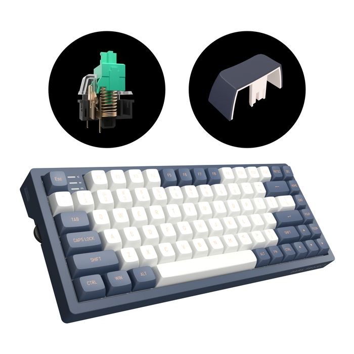 Gaming mechanical keyboard Dark Project KD83A Ivory/Navy Blue RGB 75% - G3MS Sapphire Switches, PBT