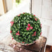 DECORATIVE BALL 38CM GARDENIA HD HD-10392 - Изкуствено озеленяване<<<Мрежи и огради<<<Градина<<<Praktiker