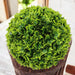 DECORATIVE BALL 45CM IVY HD HD-10399 - Изкуствено озеленяване<<<Мрежи и огради<<<Градина<<<Praktiker
