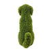 DECORATIVE DOG 60CM SCANDINAVIAN MOSS ROSSIMA MZ 161004A - Изкуствено озеленяване<<<Мрежи и огради<<<Градина<<<Praktiker