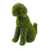 DECORATIVE DOG 60CM SCANDINAVIAN MOSS ROSSIMA MZ 161004A - Изкуствено озеленяване<<<Мрежи и огради<<<Градина<<<Praktiker