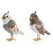 Decorative Figure DKD Home Decor Beige White Resin Bird Modern (12,5 x 7 x 16 cm) (2 Units) - Декорация и