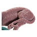 Decorative Figure DKD Home Decor Green Light Pink Tiger 36 x 17,5 x 13,3 cm (2 Units) - Декорация и Осветление<<<Дом