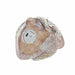 Decorative Figure DKD Home Decor Green Pink Natural animals Shabby Chic 20,5 x 10 x 17 cm (3 Pieces) - Декорация и