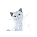 Decorative Figure DKD Home Decor White Cat Romantic 30 x 40 cm 9 x 9 x 24 cm - Декорация и Осветление<<<Дом
