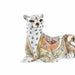 Decorative Figure DKD Home Decor White Orange Leopard Colonial 24 x 10 x 12 cm - Декорация и Осветление<<<Дом