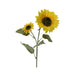 Decorative Flowers Everlands 10 x 15 x 72 cm - Декорация и Осветление<<<Дом Градина<<<BigBuy&&&Други артикули за