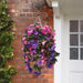 DECORATIVE LANDSCAPING HANGING BASKET ROSSIMA PETUNIA PURPLE COLOR - Изкуствено озеленяване<<<Мрежи и