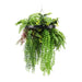 DECORATIVE LANDSCAPING HANGING RING F40CM FERN HD HD-10456 - Изкуствено озеленяване<<<Мрежи и
