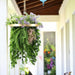 DECORATIVE LANDSCAPING HANGING RING F40CM FERN HD HD-10457 - Изкуствено озеленяване<<<Мрежи и