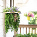DECORATIVE LANDSCAPING HANGING RING F40CM FERN HD HD-10457 - Изкуствено озеленяване<<<Мрежи и