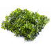 DECORATIVE PANEL 50X50CM 1 PCS IN PACKAGE GREEN WALL 135050 - Изкуствено озеленяване<<<Мрежи и