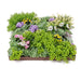 DECORATIVE PANEL 50X50CM 1 PCS IN PACKAGE ROSSIMA MZ 171002A - Изкуствено озеленяване<<<Мрежи и