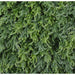 DECORATIVE PANEL 50X50CM 4PCS IN A PACKAGE ROSSIMA THUYA - Изкуствено озеленяване<<<Мрежи и огради<<<Градина<<<Praktiker