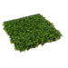DECORATIVE PANEL 50X50CM 4PCS IN A PACKAGE ROSSIMA THUYA - Изкуствено озеленяване<<<Мрежи и огради<<<Градина<<<Praktiker