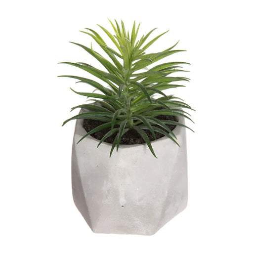 Decorative Plant Atmosphera 7 x 14 cm Green PVC - Декорация и Осветление<<<Дом Градина<<<BigBuy&&&Други артикули за