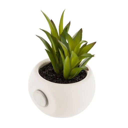 Decorative Plant Atmosphera Magnet Green PVC - Декорация и Осветление<<<Дом Градина<<<BigBuy&&&Други артикули за