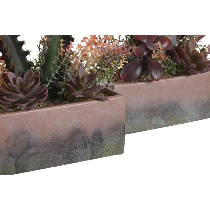 Decorative Plant DKD Home Decor 19 x 9 x 22 cm Pink Orange Cactus Eva Rubber polypropylene (2 Units) - Декорация и