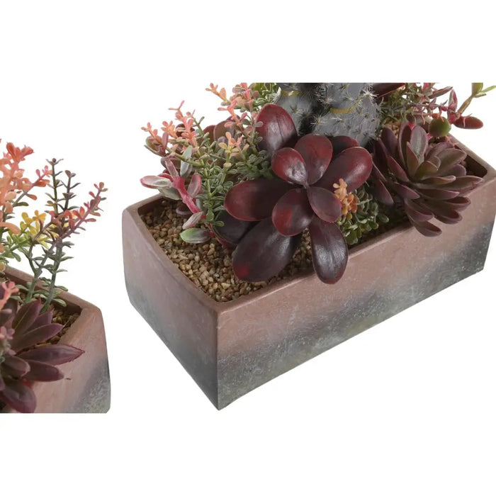 Decorative Plant DKD Home Decor 19 x 9 x 22 cm Pink Orange Cactus Eva Rubber polypropylene (2 Units) - Декорация и