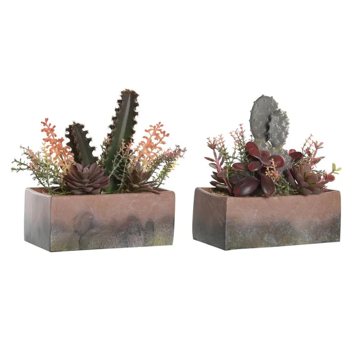 Decorative Plant DKD Home Decor 19 x 9 x 22 cm Pink Orange Cactus Eva Rubber polypropylene (2 Units) - Декорация и