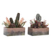 Decorative Plant DKD Home Decor 19 x 9 x 22 cm Pink Orange Cactus Eva Rubber polypropylene (2 Units) - Декорация и
