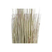 Decorative Plant DKD Home Decor 25 x 25 x 68 cm Brown Polyethylene Green (2 Units) - Декорация и Осветление<<<Дом