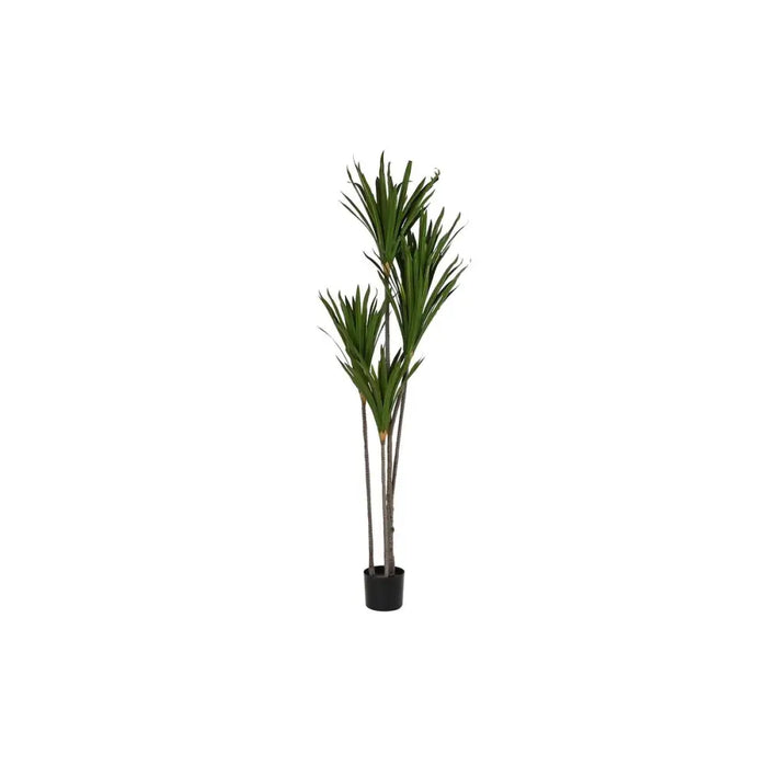 Decorative Plant DKD Home Decor (80 x 80 x 180 cm) - Декорация и Осветление<<<Дом Градина<<<BigBuy&&&Други артикули за
