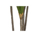 Decorative Plant DKD Home Decor (80 x 80 x 180 cm) - Декорация и Осветление<<<Дом Градина<<<BigBuy&&&Други артикули за