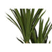 Decorative Plant DKD Home Decor (80 x 80 x 180 cm) - Декорация и Осветление<<<Дом Градина<<<BigBuy&&&Други артикули за