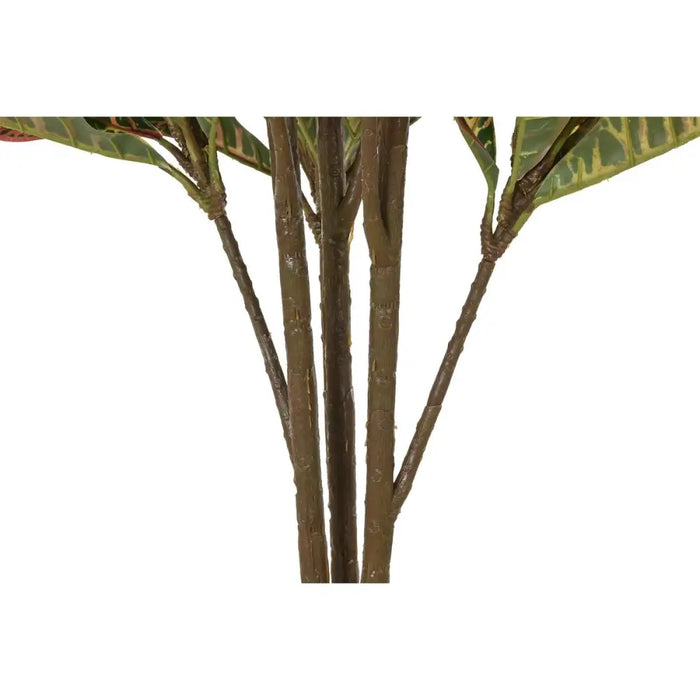 Decorative Plant DKD Home Decor Brown Polyethylene Green 50 x 50 x 140 cm - Декорация и Осветление<<<Дом