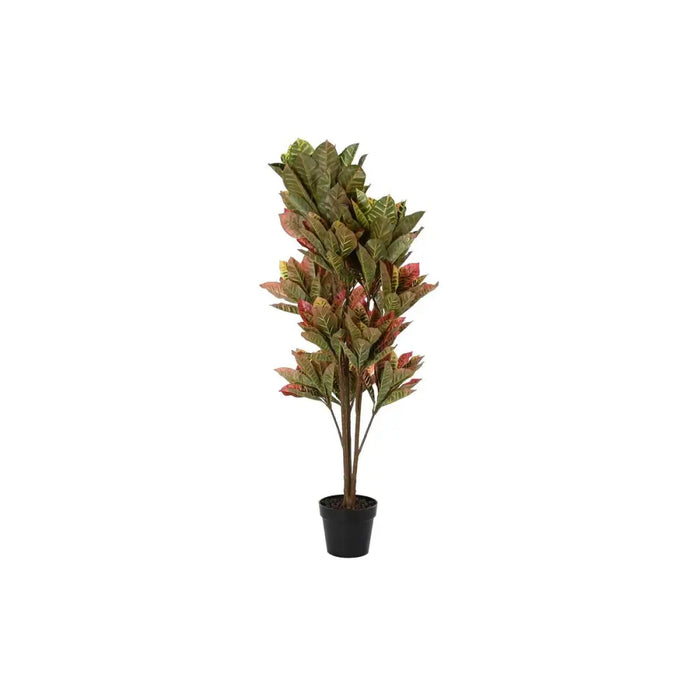 Decorative Plant DKD Home Decor Brown Polyethylene Green 50 x 50 x 140 cm - Декорация и Осветление<<<Дом