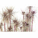 Decorative Plant DKD Home Decor Brown Polyethylene Green PVC 40 x 40 x 120 cm (2 Units) - Декорация и Осветление<<<Дом