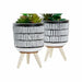 Decorative Plant DKD Home Decor Ceramic Black Polyethylene White Green (7 x 7 x 19 cm) (2 Units) - Декорация и