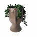 Decorative Plant DKD Home Decor Ceramic PE (11 x 10 x 16 cm) - Декорация и Осветление<<<Дом Градина<<<BigBuy&&&Други