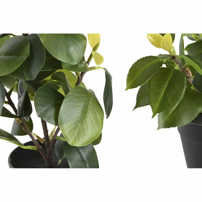 Decorative Plant DKD Home Decor Green PP PE Fig Tree (2 Units) (21 x 18 x 30 cm) - Декорация и Осветление<<<Дом