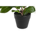 Decorative Plant DKD Home Decor Green PP PE Fig Tree (2 Units) (21 x 18 x 30 cm) - Декорация и Осветление<<<Дом