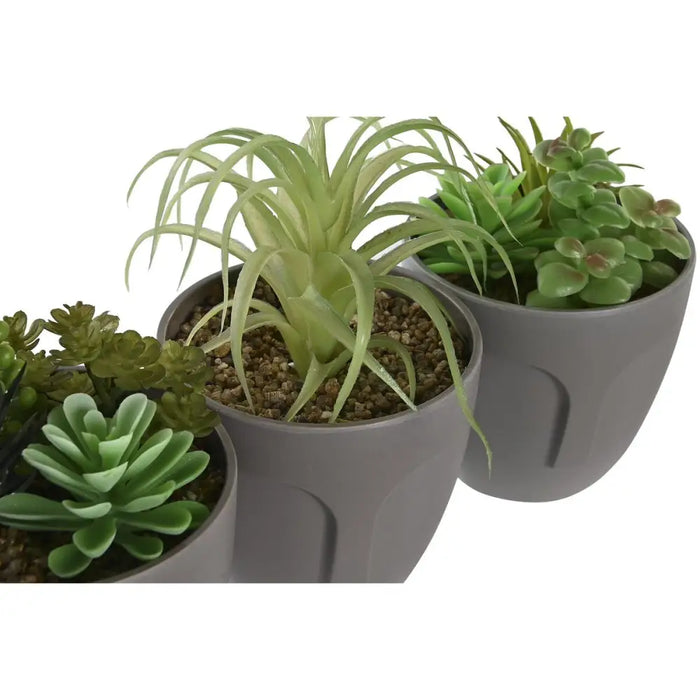 Decorative Plant DKD Home Decor Grey Beige Polyethylene Green polypropylene (11 x 11 x 15 cm) (3 Units) - Декорация и