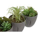 Decorative Plant DKD Home Decor Grey Beige Polyethylene Green polypropylene (11 x 11 x 15 cm) (3 Units) - Декорация и