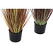 Decorative Plant DKD Home Decor Orange Polyethylene Burgundy PVC 30 x 30 x 150 cm (2 Units) - Декорация и